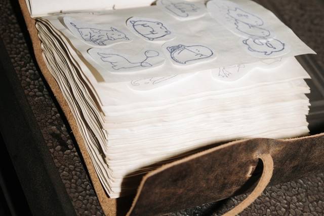 flash book