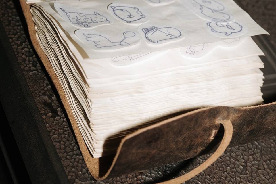 flash book