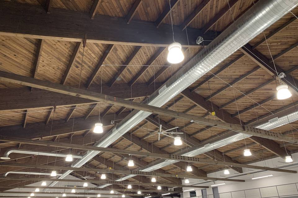 Exhibition hall cedar ceiling