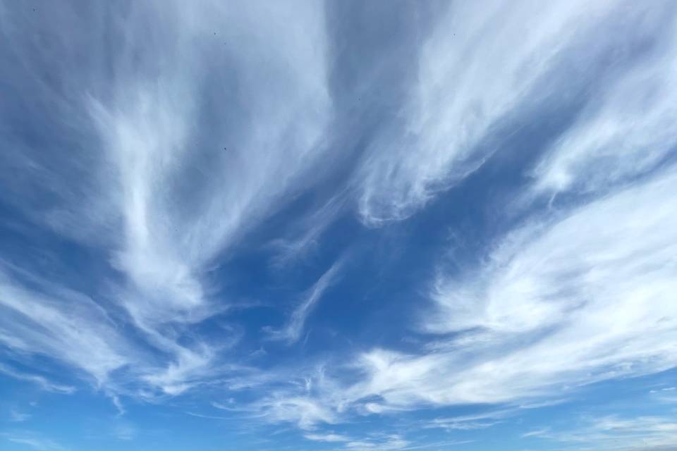 Stunning Day