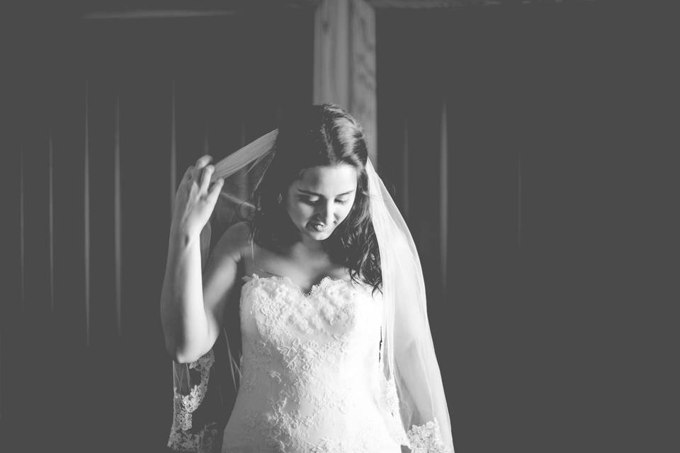 Waterloo, Ontario bride