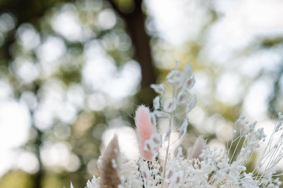 Fleurs