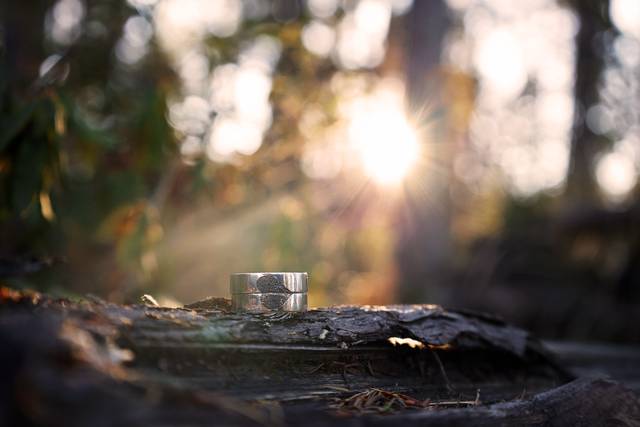 Saving Grace Photography