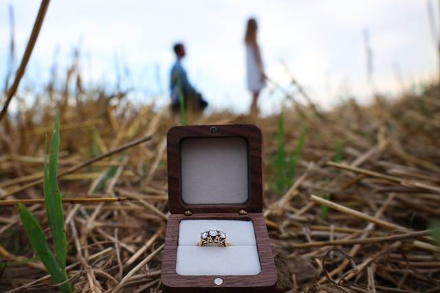 A secret proposal