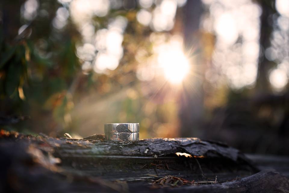 Saving Grace Photography