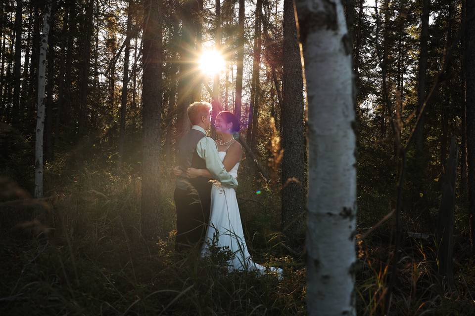 Backlit golden hour