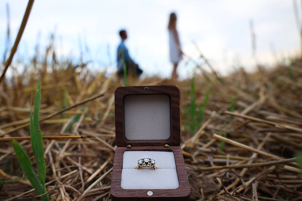 A secret proposal