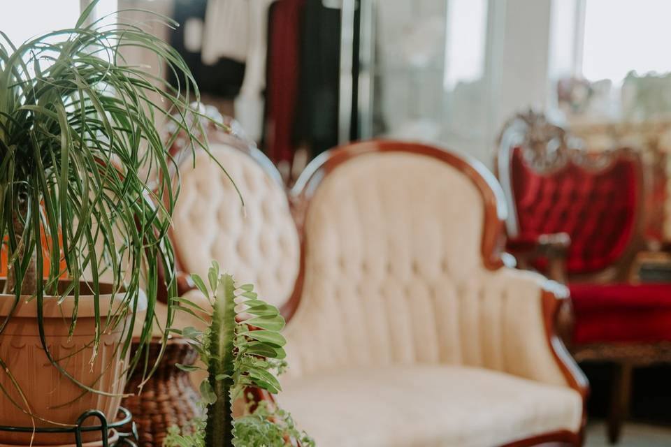 Wicker peacock chairs