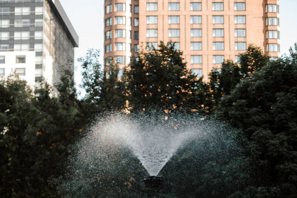 Under the fountain