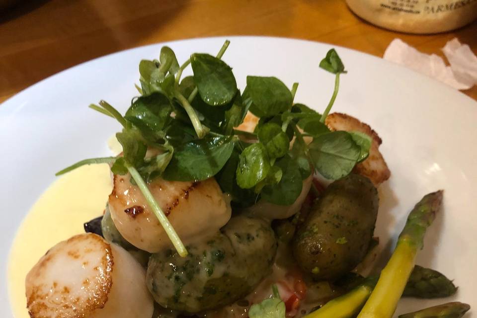 Scallops