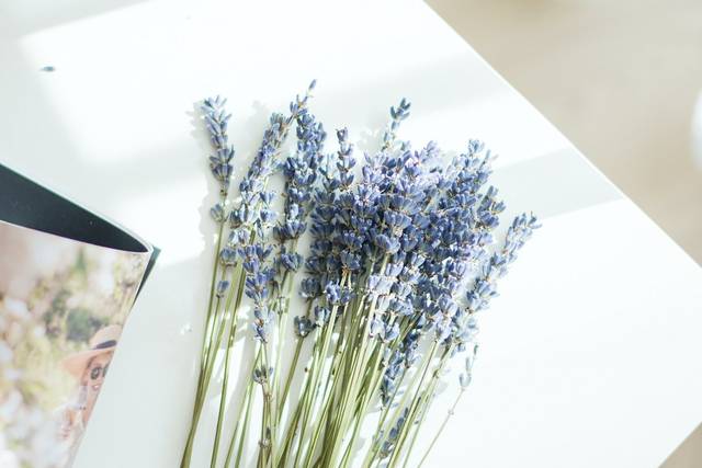Lavender and Lace — Kelowna Flower Design and Farm
