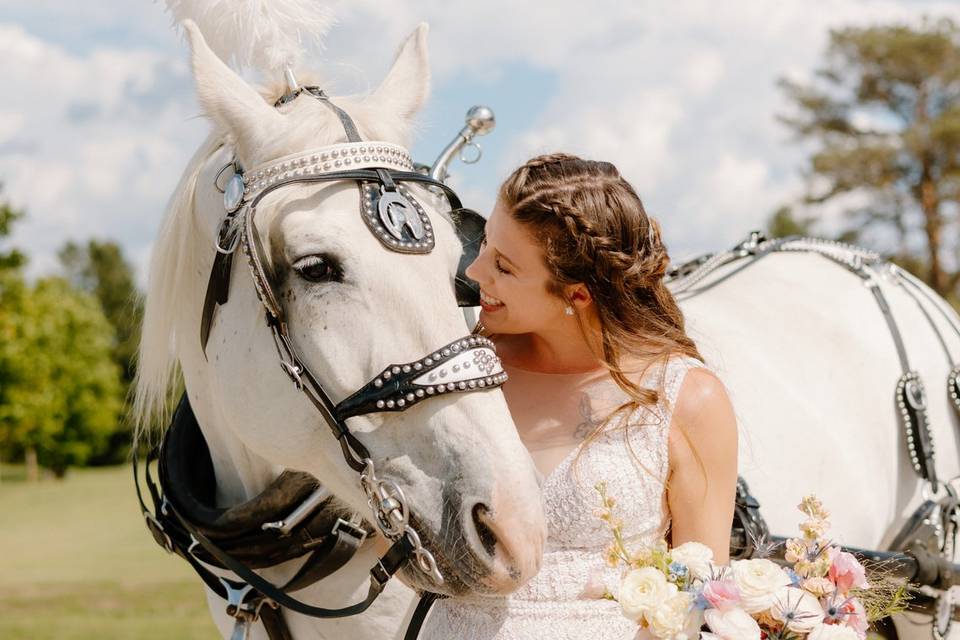 Wedding photos