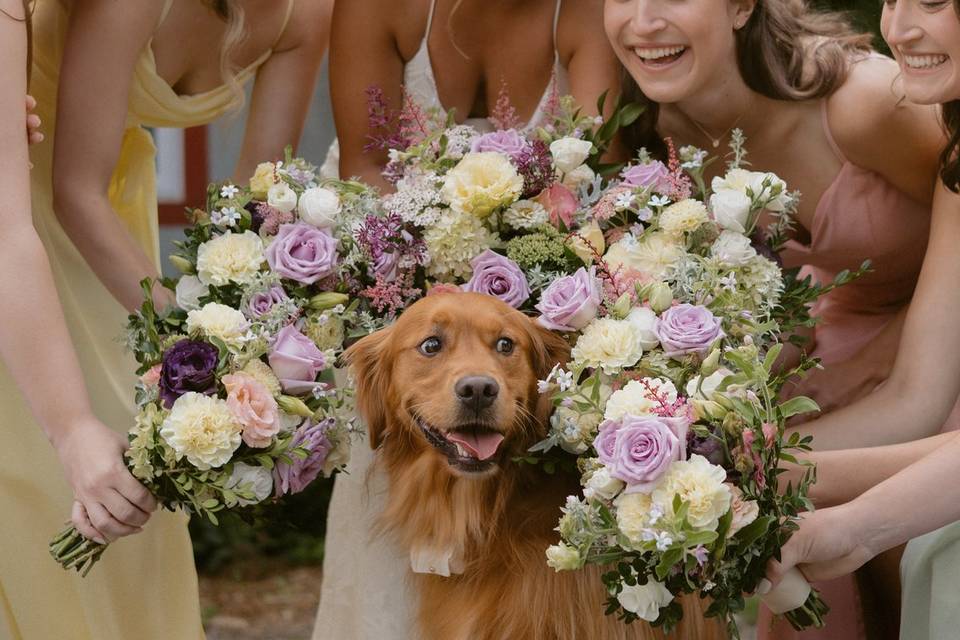 Wedding photos