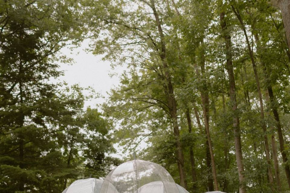 Wedding photos