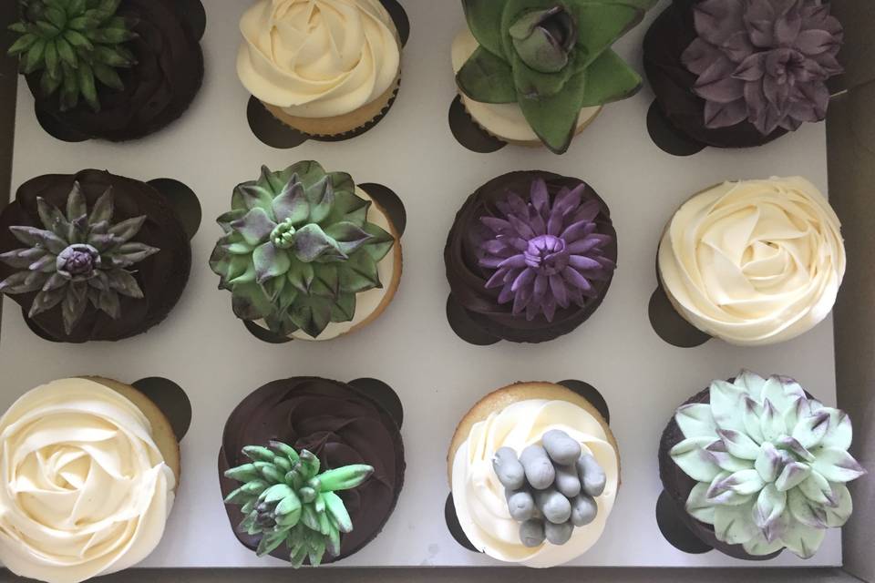 Succulent cupcakes