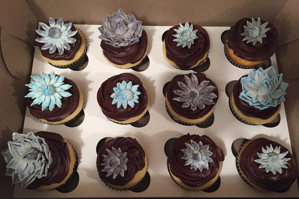 Succulent cupcakes 2