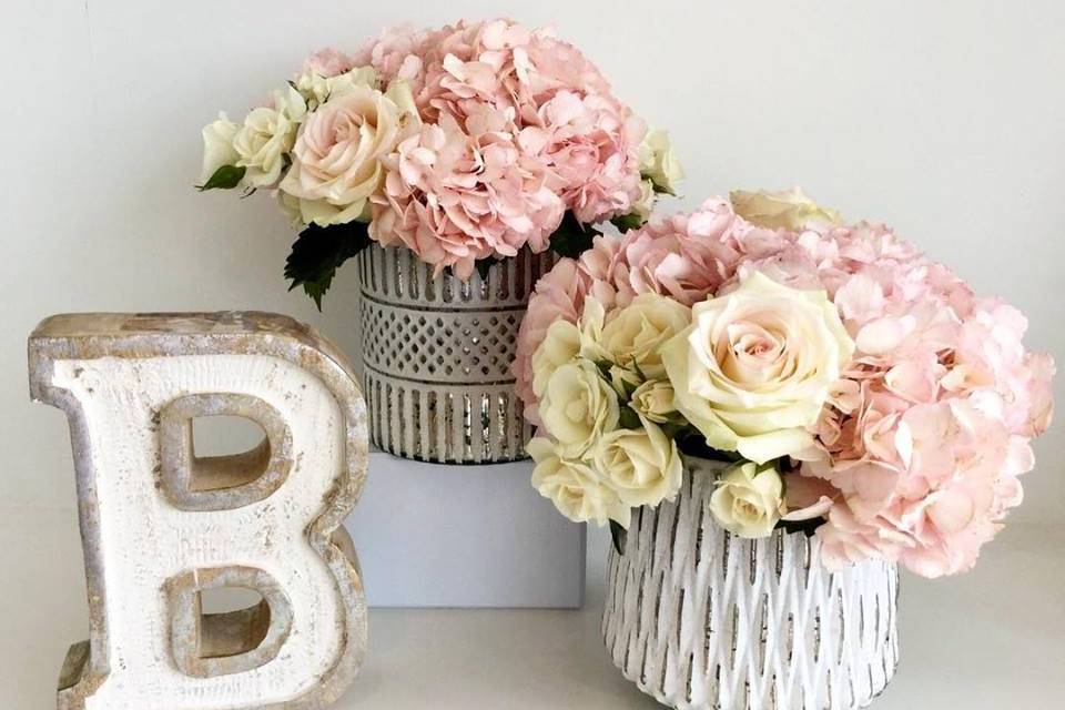 Mimosa Floral Boutique