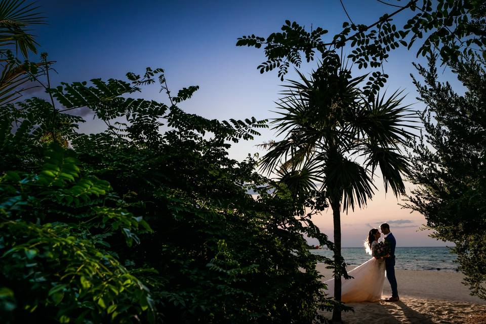 Under a palm tree, Novia Mia Photography