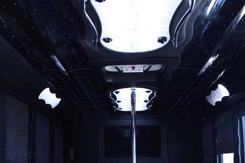 20 Pass Party Bus Interior