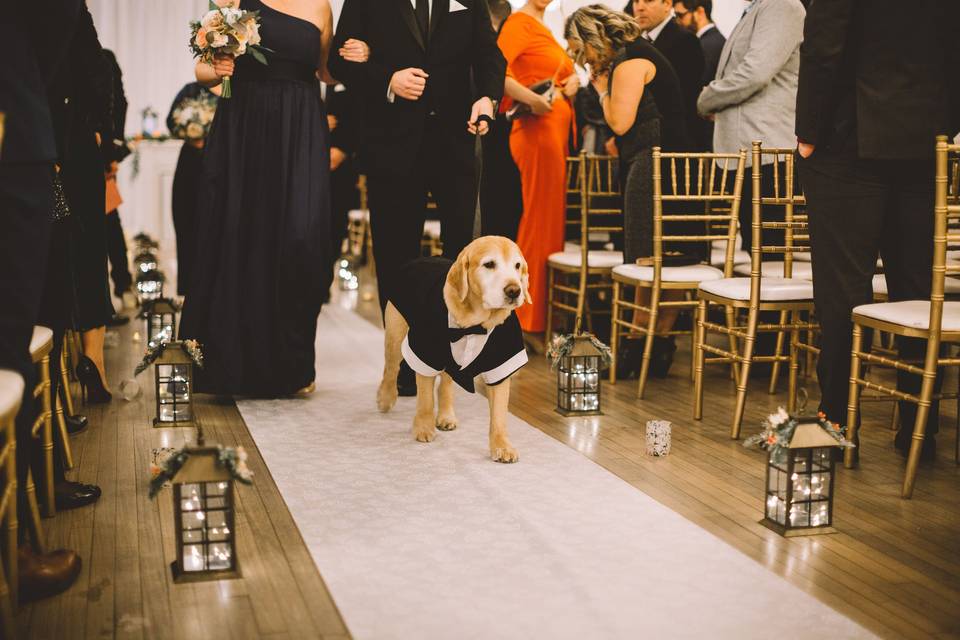 Good little ring bearer!