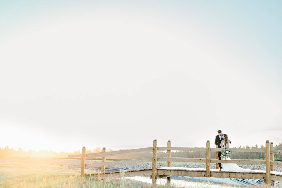 Alberta Wedding Photographer