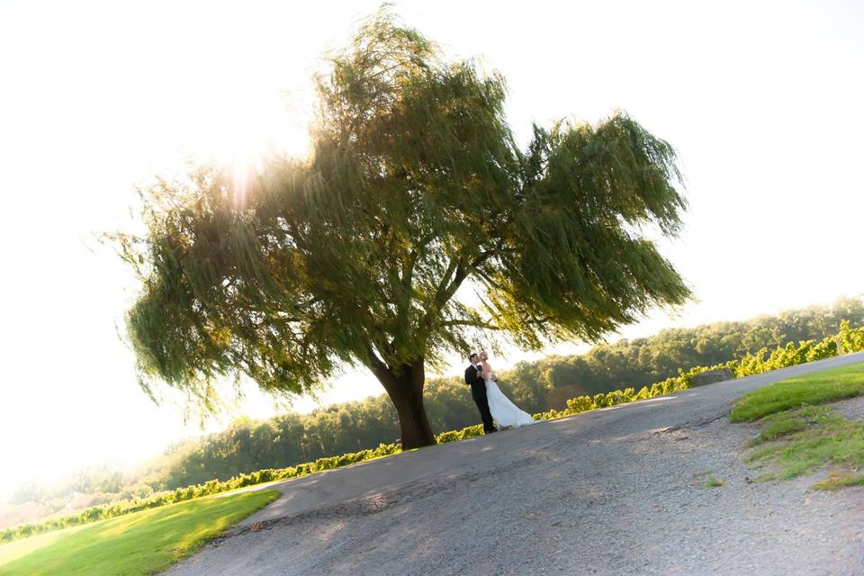 Grand Victorian B&B Wedding