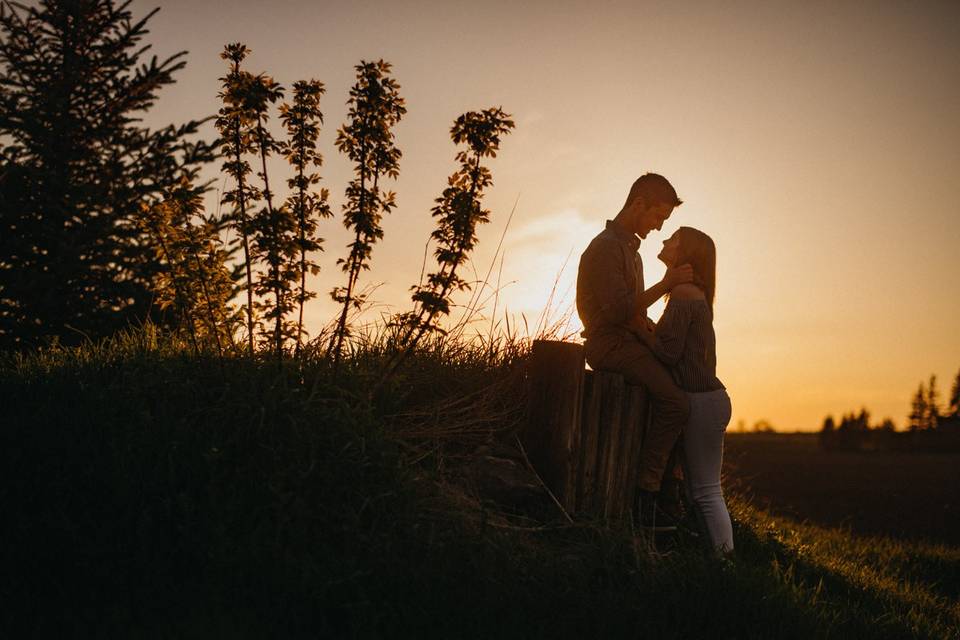 Davidiam Photography
