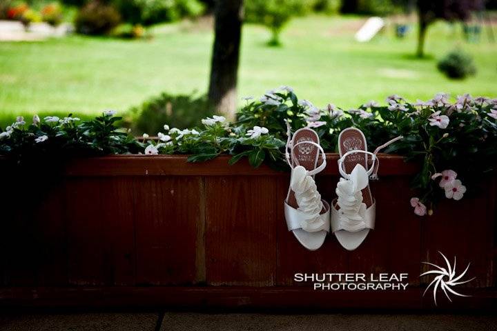 Shutter Leaf Photography