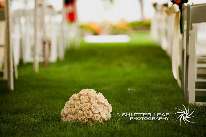 Shutter Leaf Photography