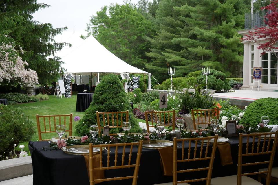 Table Setup and Decor