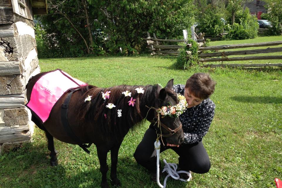 Flower pony