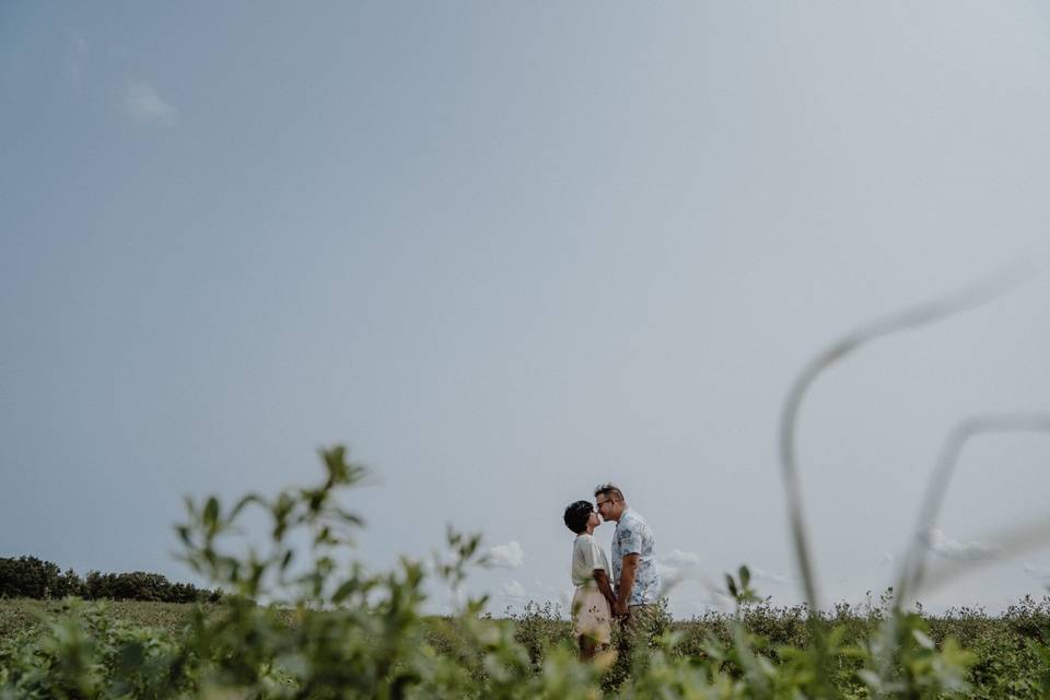 Couple in the fields