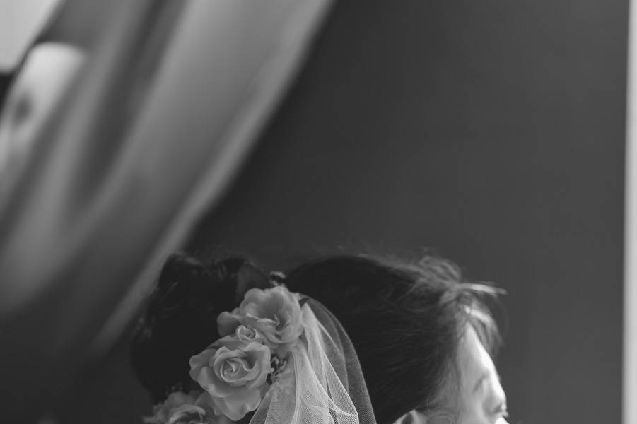 Detail of the veil