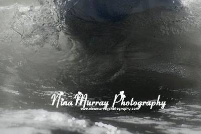 Nina Murray Photography