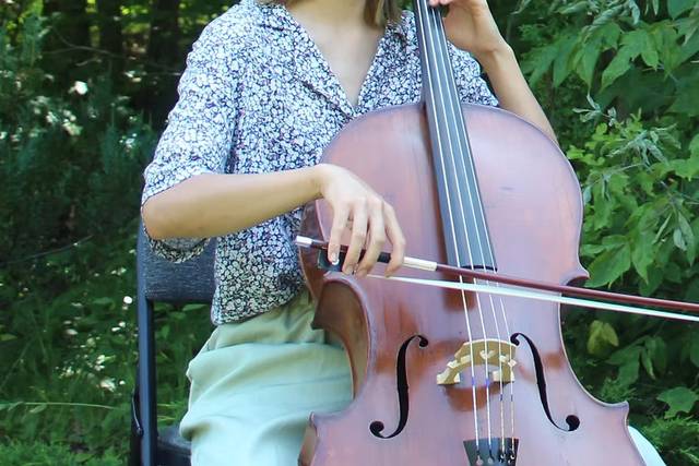 Cello Solo (Shannon Lai)