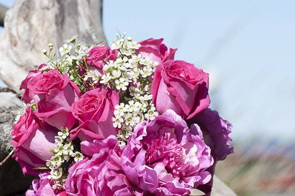 A Bride & Groom's Pictures & Blooms
