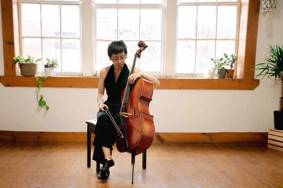 Cello Solo (Shannon Lai)