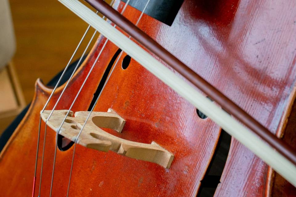 Cello