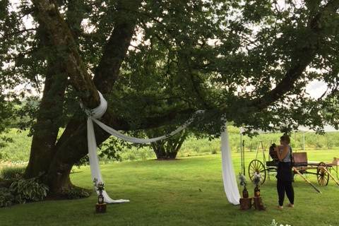 Under the Old Oak Tree