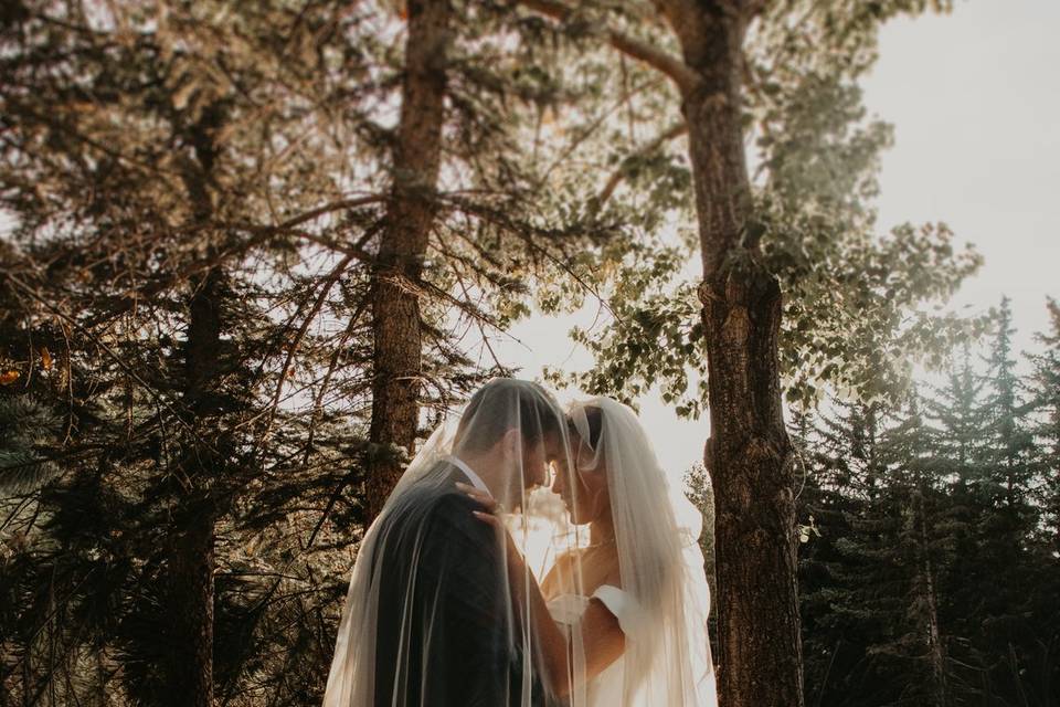 Sun glare veil moment