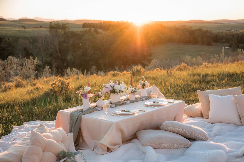 Bridal Shower Picnic Dreams