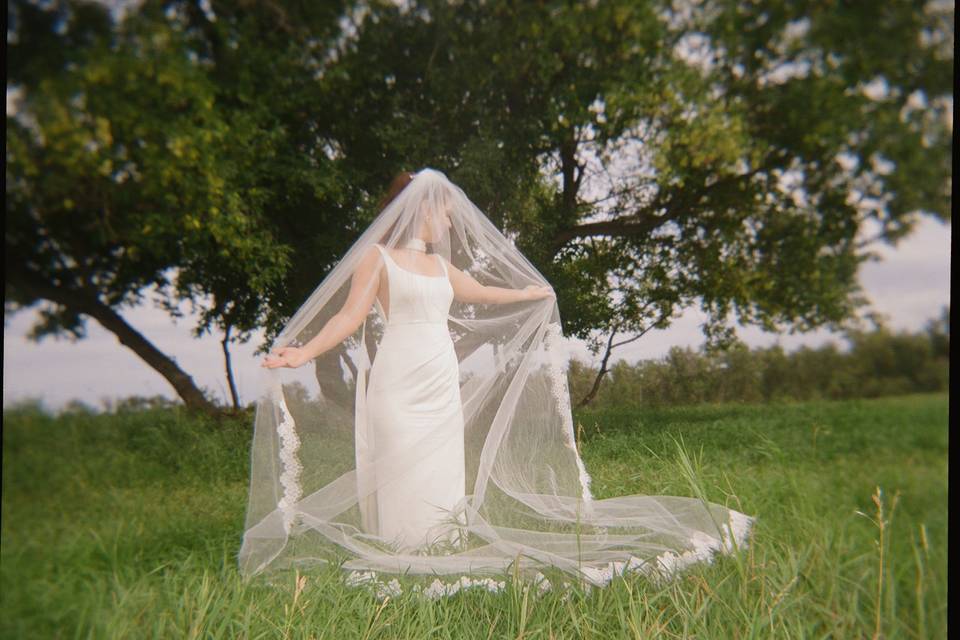 Romantic veil moment