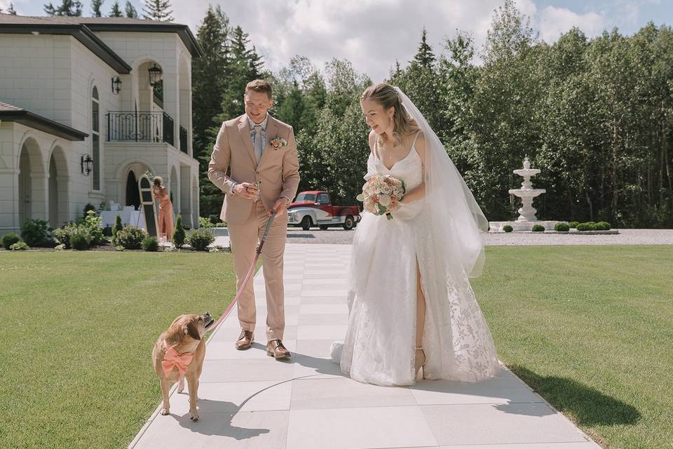 Archway Manor Puppy Walk