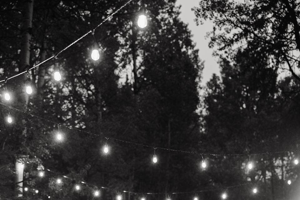 Roots & Roses Bistro Lights