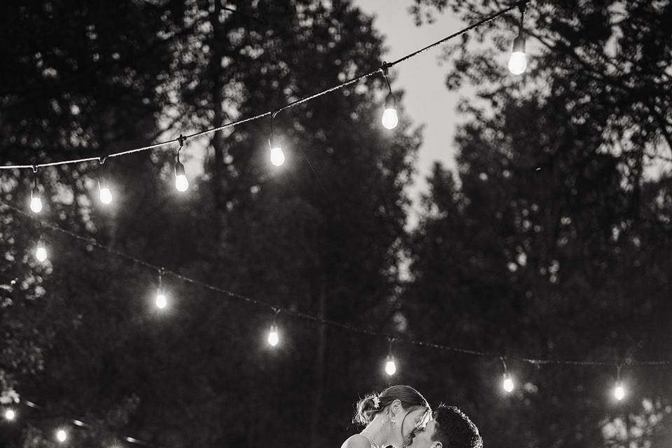 Roots & Roses Twinkle Lights