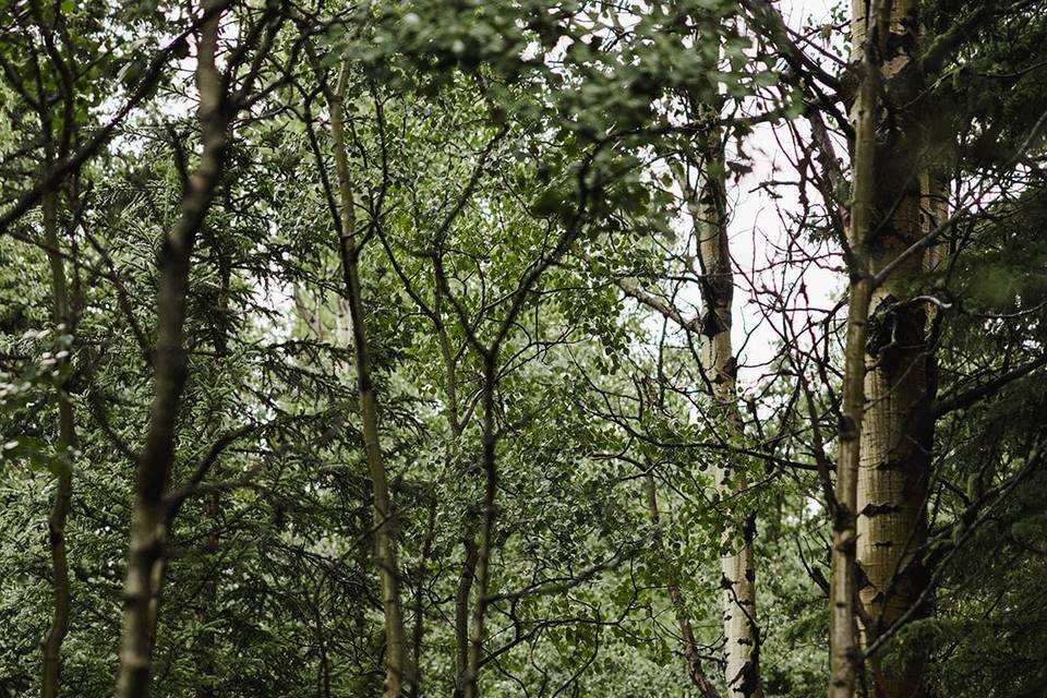 Roots & Roses Portrait