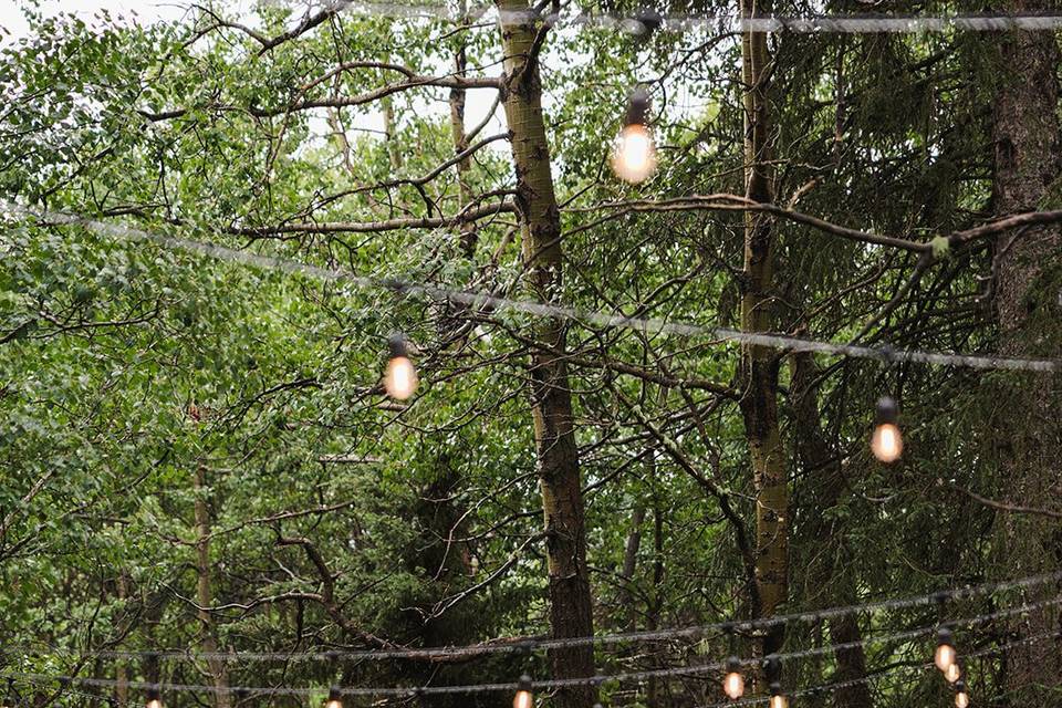 Roots & Roses Ceremony