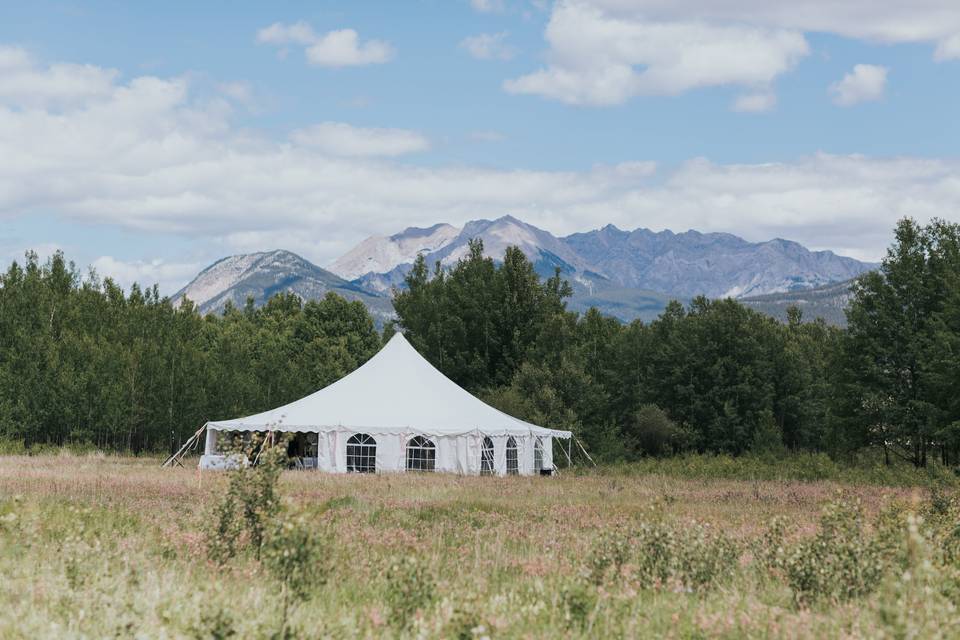 Abraham Lake wedding