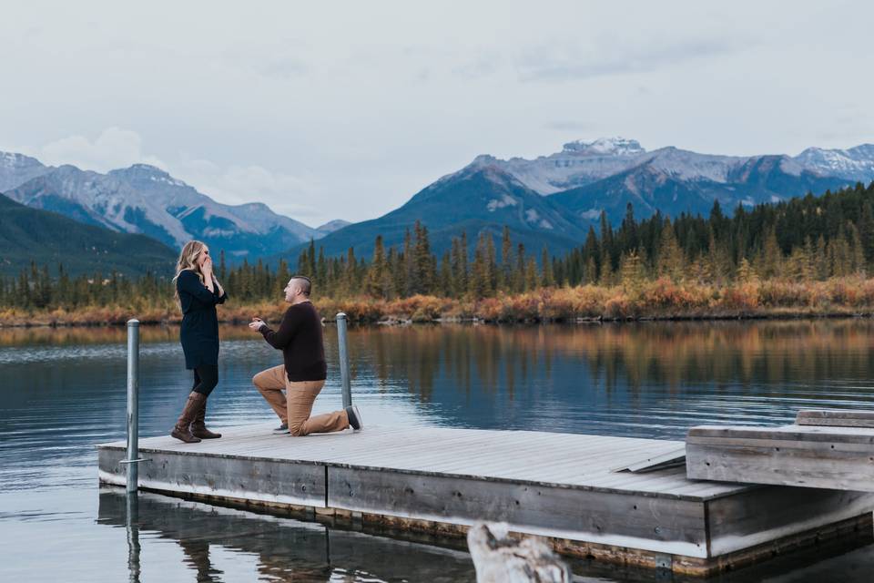 Banff Proposal