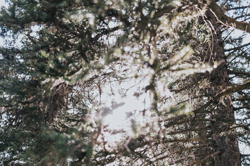 Lake Louise Elopement